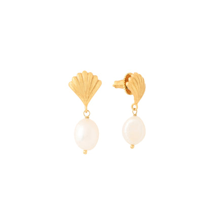 Shell Earrings