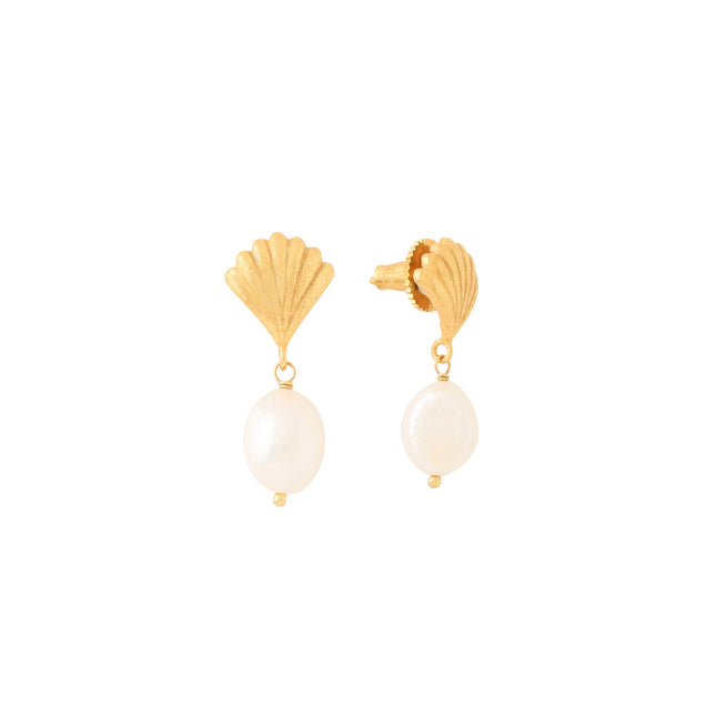 Shell Earrings