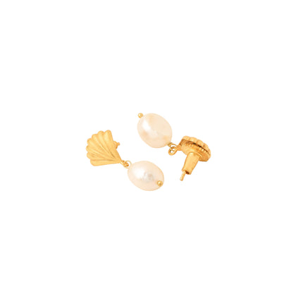 Shell Earrings